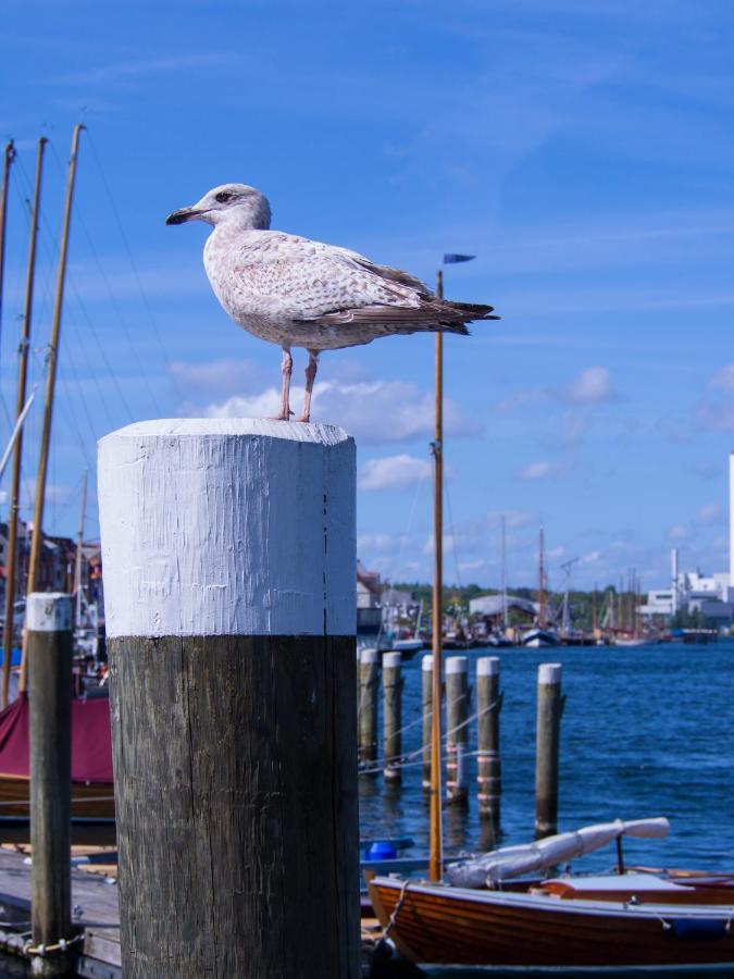 Fewo Muschel Glücksburg Esterno foto