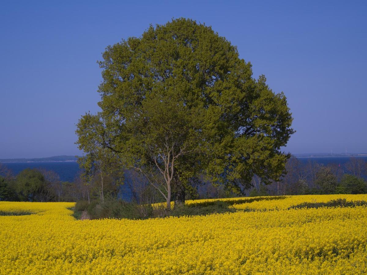 Fewo Muschel Glücksburg Esterno foto
