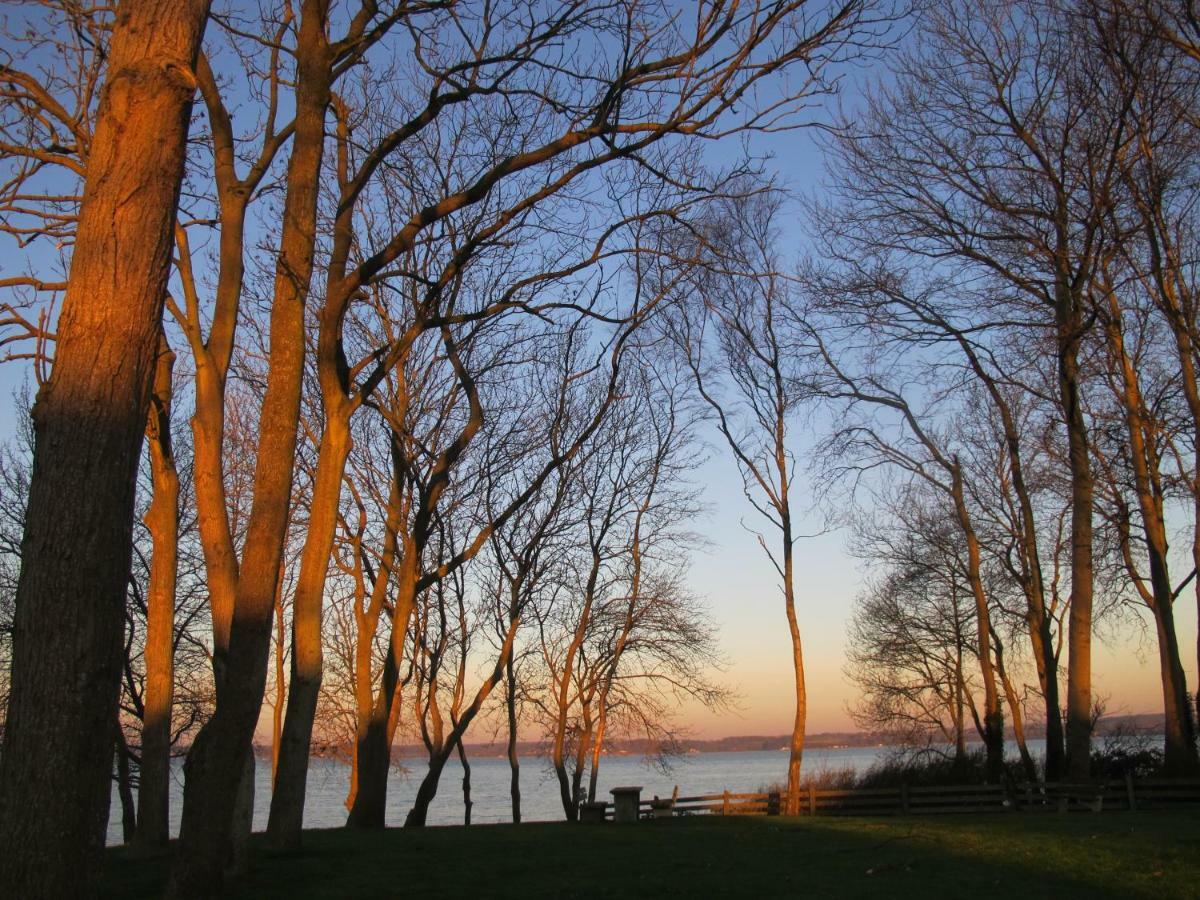 Fewo Muschel Glücksburg Esterno foto